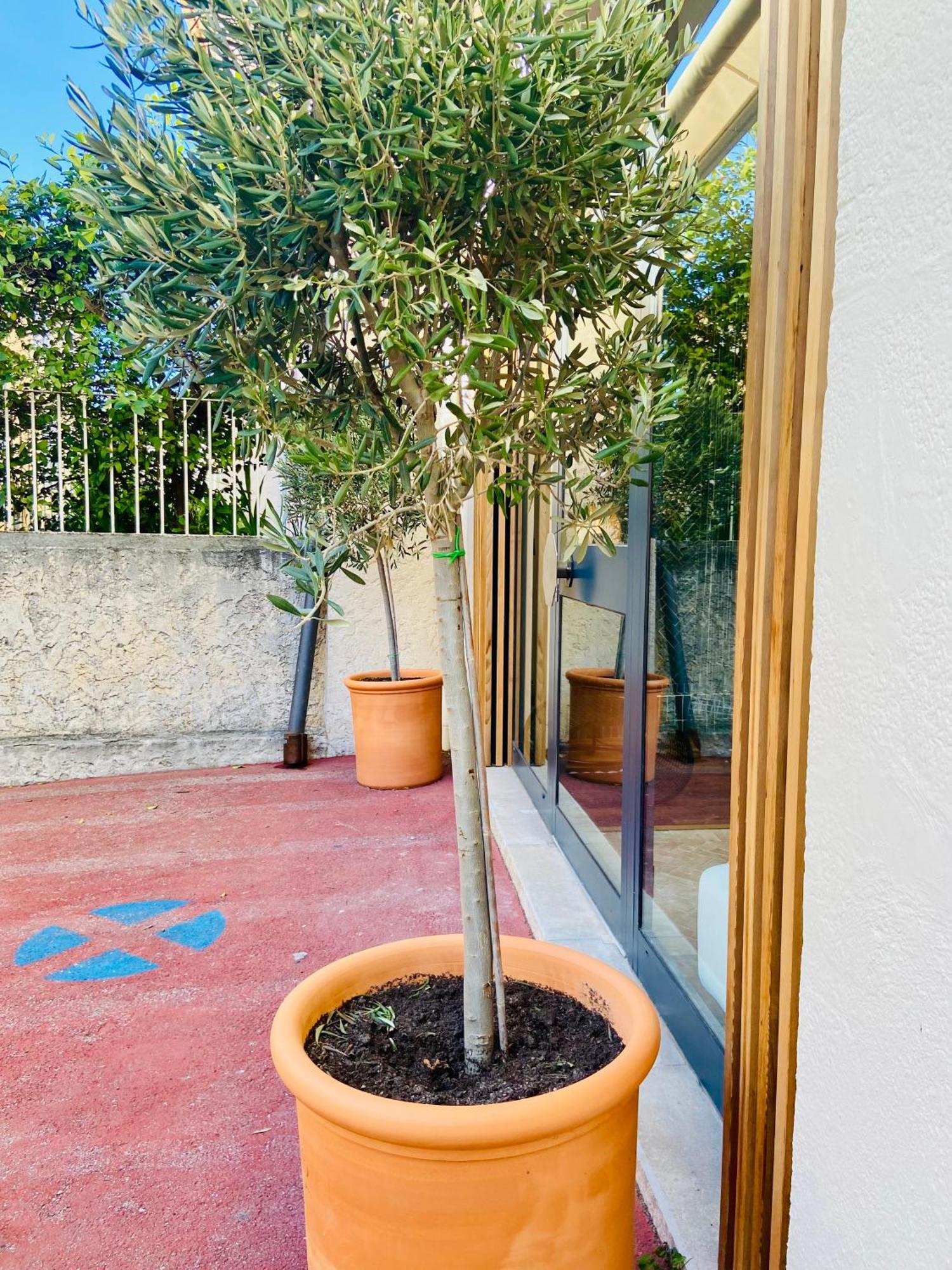 Cassis Grande Terrasse Emplacement Au Top A 1 Minute De La Plage A Pieds Exterior photo